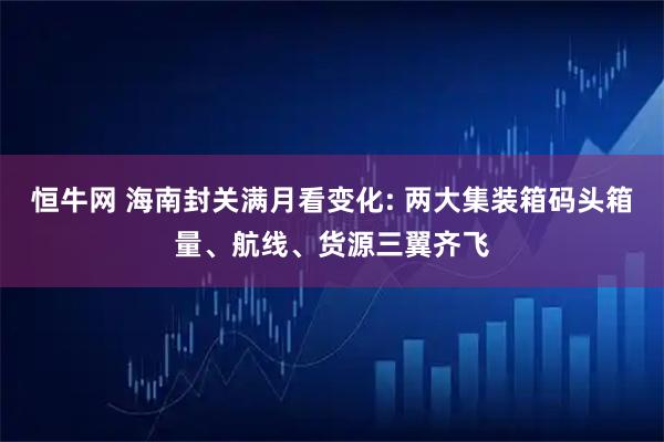恒牛网 海南封关满月看变化: 两大集装箱码头箱量、航线、货源三翼齐飞