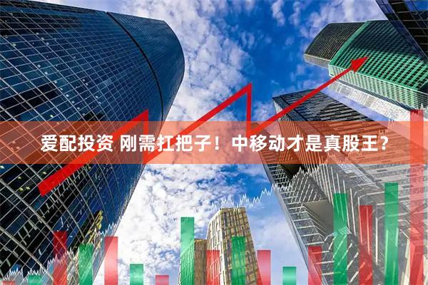 爱配投资 刚需扛把子！中移动才是真股王？