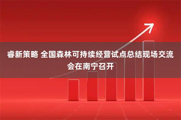 睿新策略 全国森林可持续经营试点总结现场交流会在南宁召开